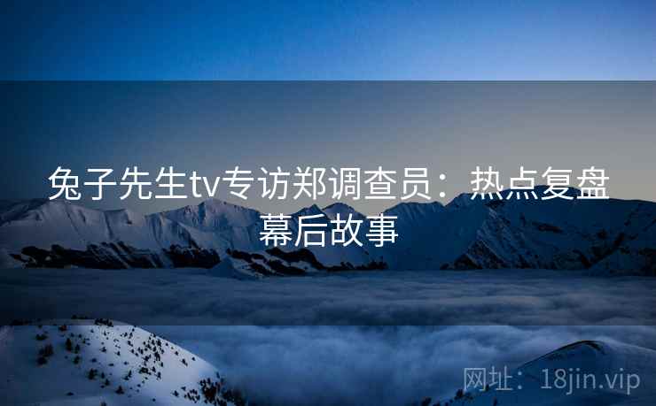 兔子先生tv专访郑调查员：热点复盘幕后故事
