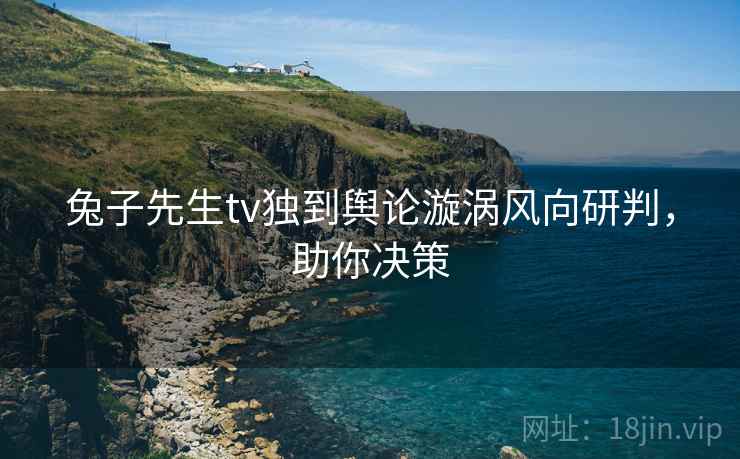 兔子先生tv独到舆论漩涡风向研判,助你决策