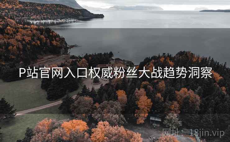 P站官网入口权威粉丝大战趋势洞察