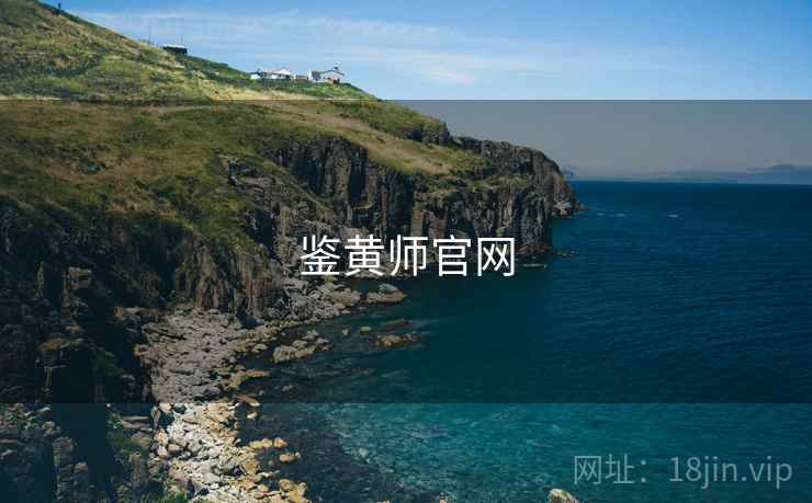 鉴黄师官网