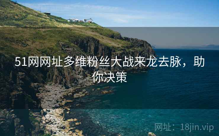 51网网址多维粉丝大战来龙去脉，助你决策