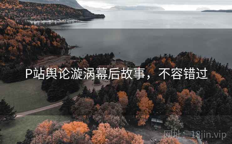 P站舆论漩涡幕后故事，不容错过