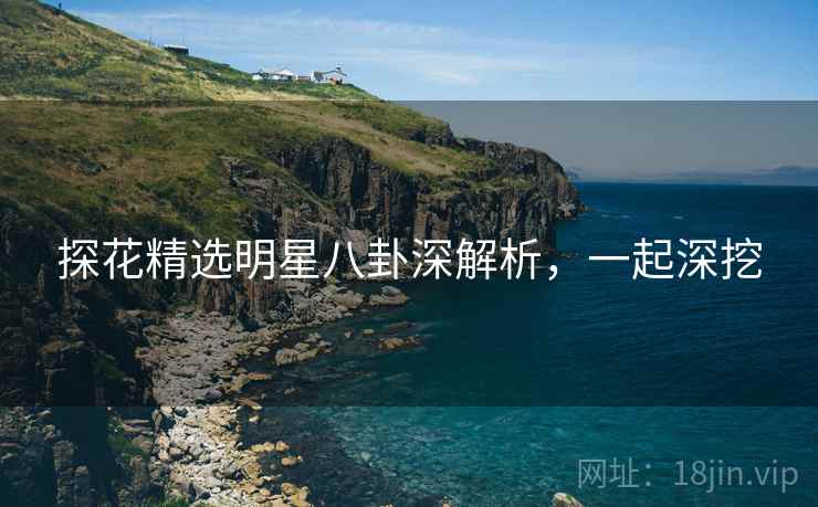 探花精选明星八卦深解析，一起深挖