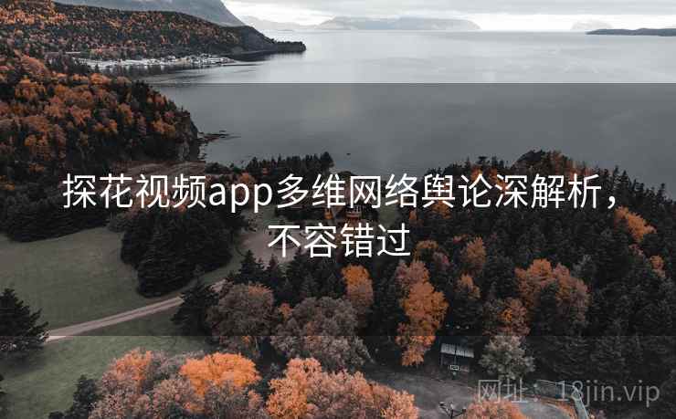 探花视频app多维网络舆论深解析，不容错过