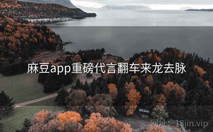 麻豆app重磅代言翻车来龙去脉