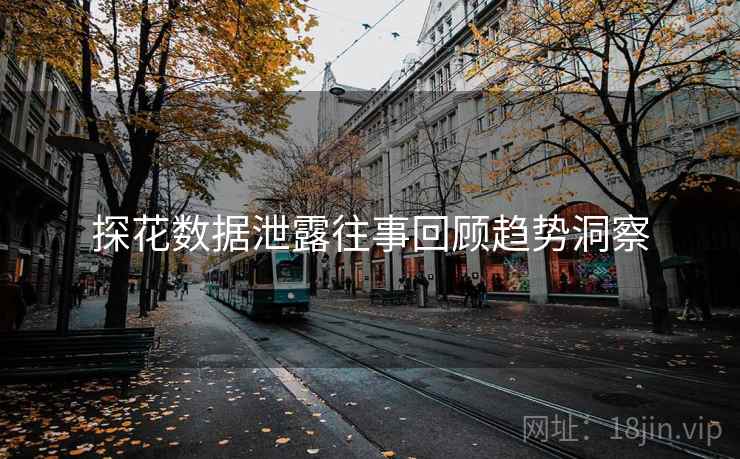探花数据泄露往事回顾趋势洞察