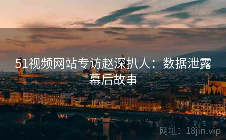 51视频网站专访赵深扒人：数据泄露幕后故事