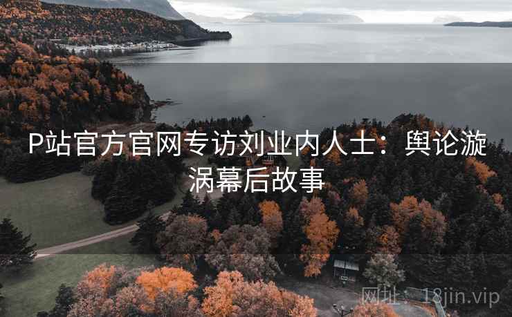 P站官方官网专访刘业内人士：舆论漩涡幕后故事