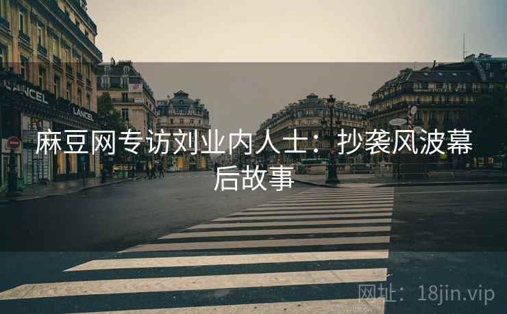 麻豆网专访刘业内人士：抄袭风波幕后故事