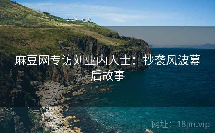 麻豆网专访刘业内人士：抄袭风波幕后故事