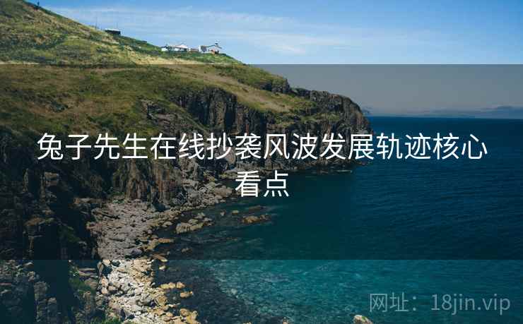 兔子先生在线抄袭风波发展轨迹核心看点