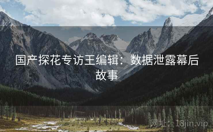国产探花专访王编辑：数据泄露幕后故事