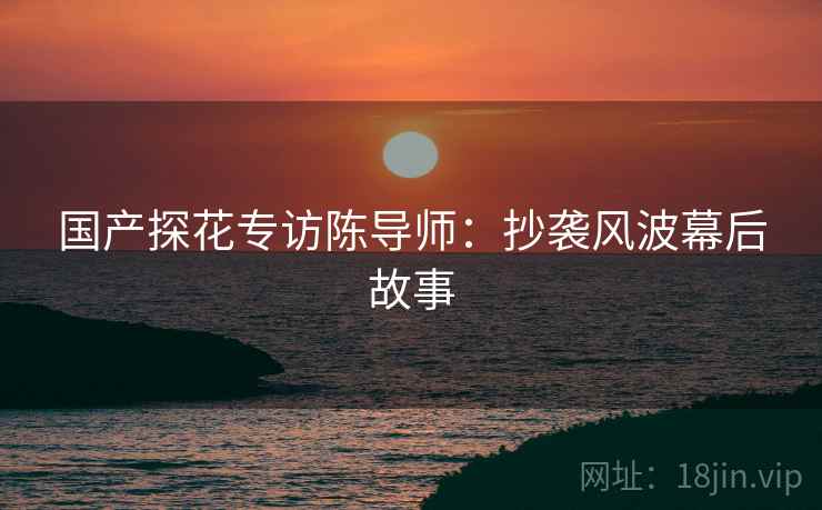 国产探花专访陈导师：抄袭风波幕后故事